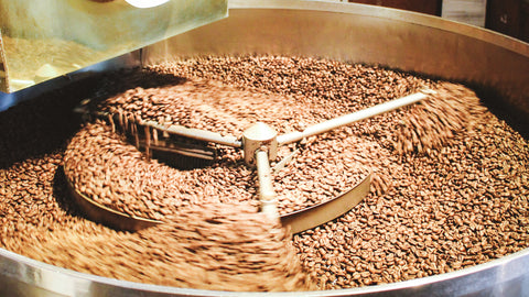 Fresh Roasted Coffee Daily